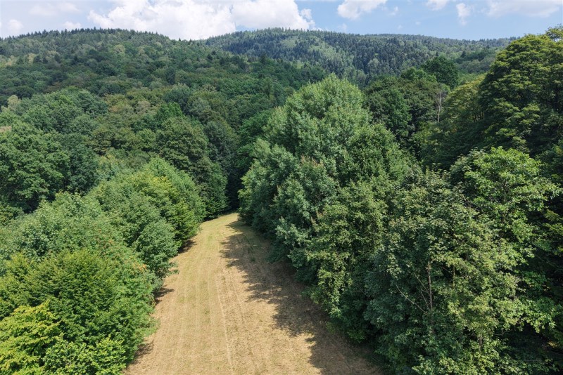 Działka - Wilkowice